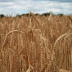 2025304期最新开奖结果已公布,速来查看! 01ltlb