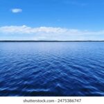 2025308期开奖结果最新公布,快来看看你中奖了吗? 30r9h