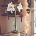 2025305期开奖结果最新公布,速来查看! 3dp2m