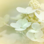 2025303期开奖号码公布及中奖详情查询 62plj05kxr