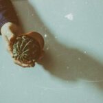 2025307期开奖结果最新公布,快来看看你中奖了吗? 77e7ff