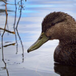 2025297期开奖结果最新公布与详细分析 8ue72