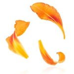 2025285期开奖号码已公布,快来看看你中奖了吗? ggu6p