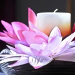 2025263期开奖结果最新公布与详细分析 h2n9o8k