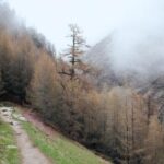 480开奖前后出现的惊人现象大揭秘 h76p2iaf