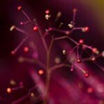 2025270期开奖号码公布及结果查询 om0wx48