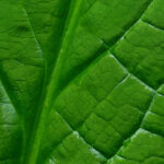 47988期最新开奖记录查询与历史数据完整汇总 u7yp5k