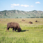 2025262期开奖号码结果查询与公布 xxan6